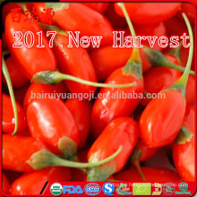 2017 New Arrival New Harvest Goji berry health food dried fruit organic wolfberry